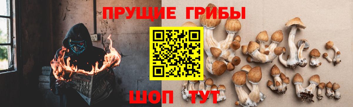Галлюциногенные грибы ЛСД  Вход с VPN  Кизляр 